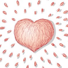 heart N133