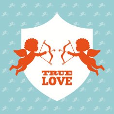 love design N519