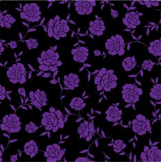 repetition of the rose N34