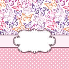 vector vintage frame with butterflies N4
