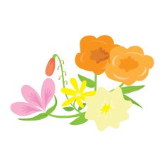 Floral Decoration Vector