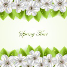 Flowers background N30