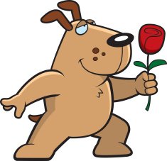 Dog Flower N3