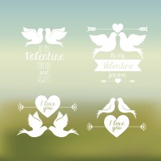 love design N537