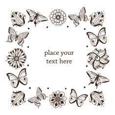 Butterflies frame