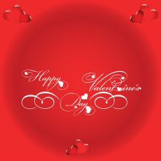 Valentine's Day N178