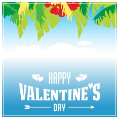 Valentine's Day vector poster N16