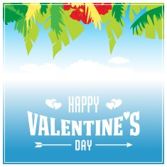 Valentine's Day vector poster N17