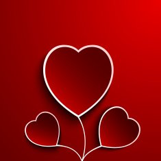 Valentine day flower heart N2