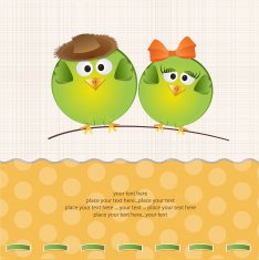 Birds couple in love N2