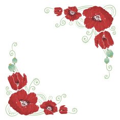 Elegant curves flower corners isolated N2