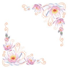 Elegant curves flower corners isolated N3