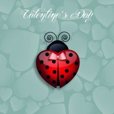 Valentine's Day N210