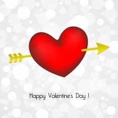 Happy Valentines Day card N100