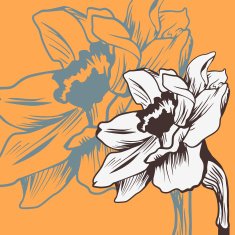 Vintage floral card with daffodil