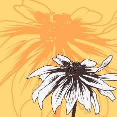Vintage floral card with chamomile N2