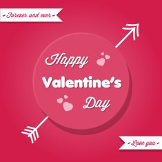 Happy Valentine's Day N198