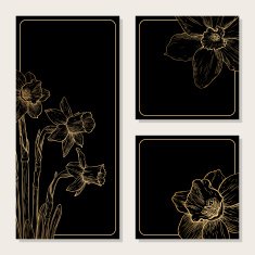 Vector invitation cards