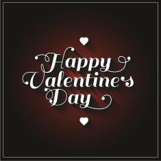 Happy Valentine's Day N201