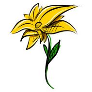 Yellow flower isolated on white