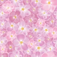 Roses background N9