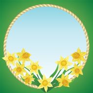 Daffodils N3