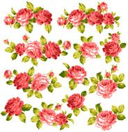 decoration of rose N7