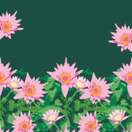 Background with pink lotus flowers and green leaves vector