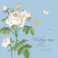Vintage vector card with blossoming white rose