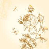 Sketch vintage garden bush blossoming roses