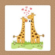 Funny giraffe couple in love N2