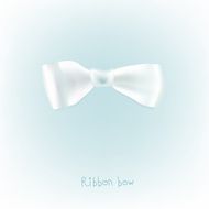 Ribbon white bow
