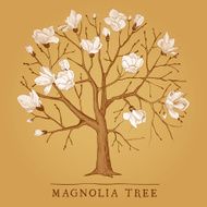 PrintVintage tree of a blossoming magnolia
