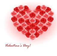 Heart of roses N8
