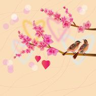 love birds sakura spring Valentine&#039;s Day