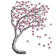 vector sketch background with sakura