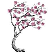 vector floral background with sakura