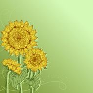 Yellow sunflowers Vector flower element for design