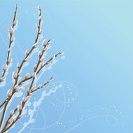 Pastel background with pussy willow