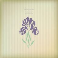 Beautiful ornament for greeting card vector N2