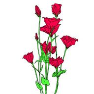 Flower N67