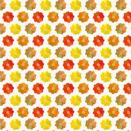 Bright Colorful Flowers Background