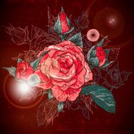 Rose background N11