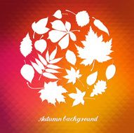 Vector paper autumn leaves background N2