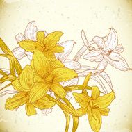 Floral background with yellow lilies