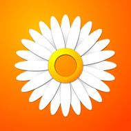 Applique cut out flower