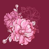 Beautiful Rose Background