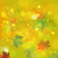 green background N222