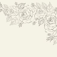 Isolation vintage frame from flowers roses
