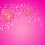 Pink sakura flowers isolated over sepia